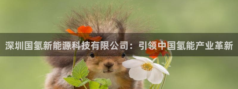 申慱sunbet手机版登